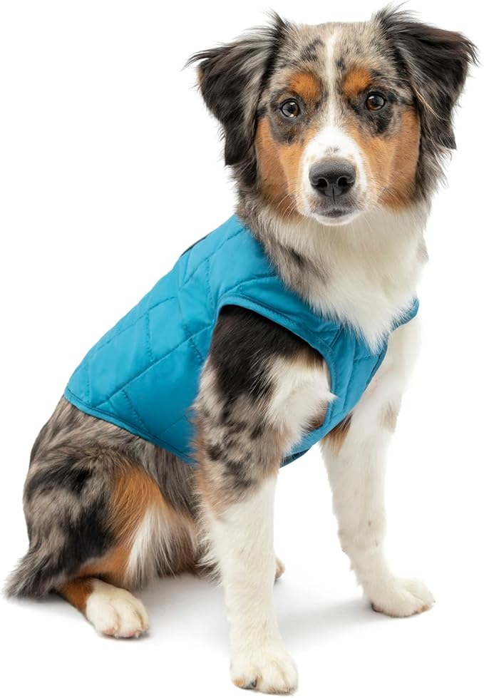 Kurgo Loft Dog Jacket - Reversible Cozy Coat for Outdoor Adventures - Water Resistant - Athletic Fit - Machine Washable Fabric - Reflective Dog Gear - X-Small - Coastal Blue