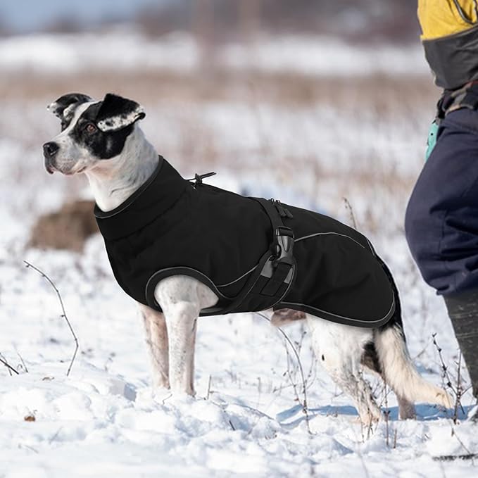 Warm Dog Coat for Winter,Waterproof Jacket with Zipper,Detachable Dog Coat with Adjustable Buckle,Comfortable Jacket for Dogs in Cold and Windy Days.M Black