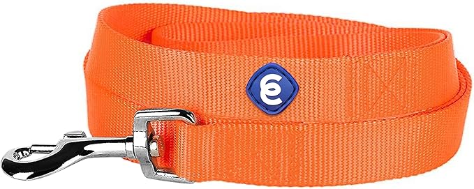 Blueberry Pet Essentials Florence Orange Dog Leash for Large - 4' * 1" Dogs | Heavy Duty Nylon Lead | Lightweight Puppy & Cat Leash for Walking & Training