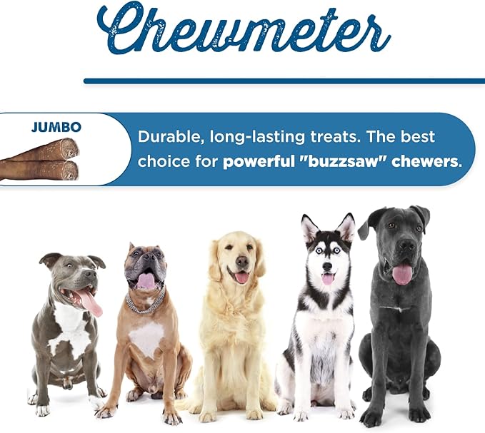 Best Bully Sticks Natural Jumbo Bully Sticks for Large Dogs - 12 Inch, 8 Count (Pack of 1) - 100% Free-Range Grass-Fed Beef, Single-Ingredient, Grain and Rawhide Free Long Lasting Dog Chews