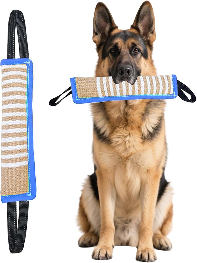 Clysoru Tug Toy for Dogs Squeaky Toy with 2 Strong Handles Lasting Training Equipment Puppy to Large Dog Interactive Toys of War Pull Indestructible Rope Pet Crinkle Teething (Blue)