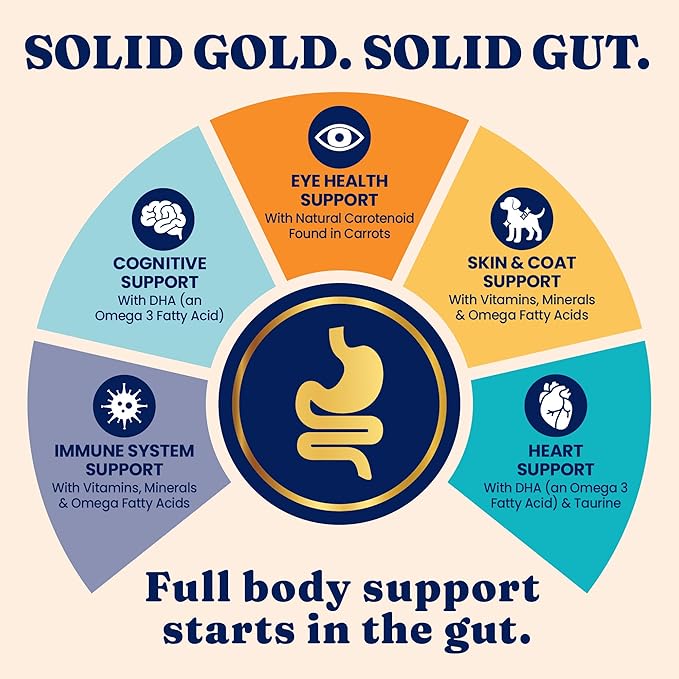 Solid Gold Dry Cat Food for Indoor Cats of All Ages - W/Lamb, Brown Rice, Barley, Probiotics & Fiber for Gut Health- Holistic & Healthy Cat Kibble for Kittens & Adults - Dry Kibble for Cats - 12 LB
