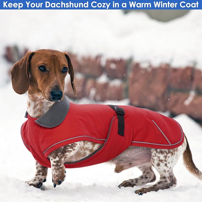 Dog Coat Perfect for Dachshunds - Red, Large - Waterproof Winter Coat With Built-in Harness, Warm Christmas Outdoor Apparel, Adjustable Buckle Closure