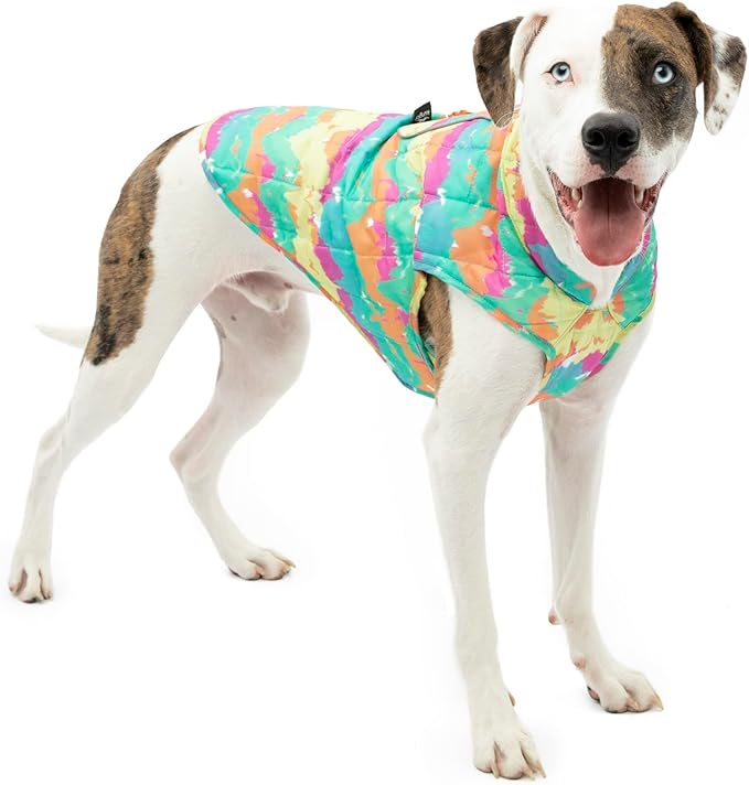 Kurgo Loft Dog Jacket - Reversible Cozy Coat for Outdoor Adventures - Water Resistant - Athletic Fit - Machine Washable Fabric - Reflective Dog Gear - Large - Watercolor Stripe