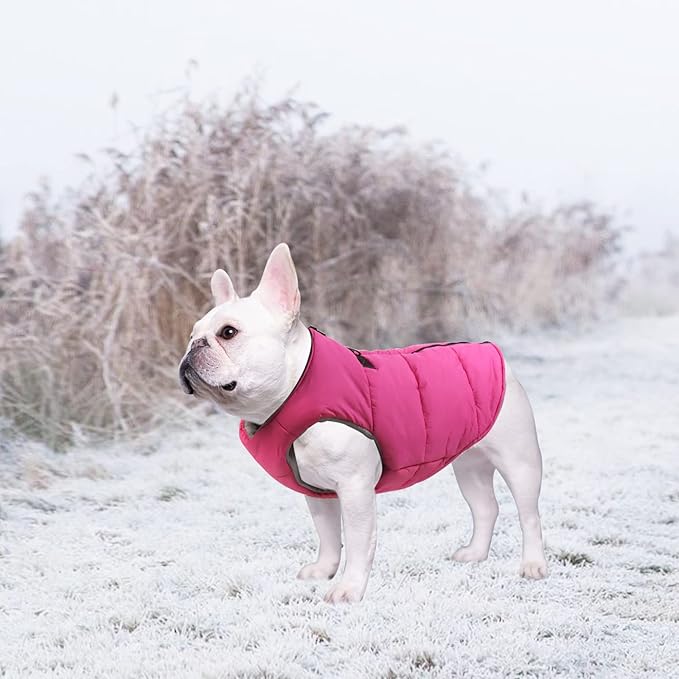 Geyecete Dog Bulldog Clothes Dog Cotton Padded Coat Thick Winter Warm Vest Waistcoat Cold Weather Jacket Clothing for French Bulldog Coat-Pink-M