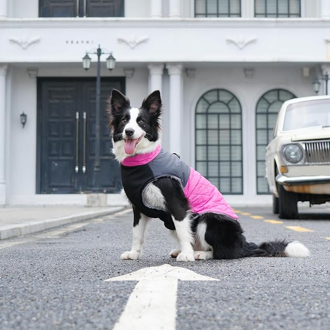 Warm Fleece Dog Coats for Small Dogs,D-Rings Waterproof Puppy Jacket for Cold Winter,Pink S