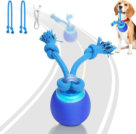 Interactive Dog Toys with Motion Activated, Squeaky Dog Toy Active Rolling Ball for Puppy and Medium Dogs, USB Rechargeable, Wicked Ball