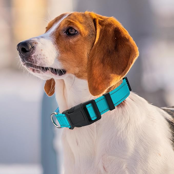 DIY Personalized Embroidered Dog Collar - Custom Hand-Stitched Name & Number, Reflective Adjustable Pet Collar for Small/Medium/Large Dogs & Cats, Durable Nylon with Steel D-Ring (Purple, Small)