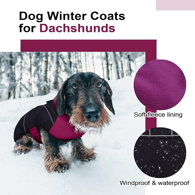 Lelepet Dachshund Coat Warm Dog Winter Coat Waterproof Dog Jacket with Fleece Lining, Reflective Outdoor Dachshund Snowsuit with Leash Hole Adjustable Neckline,Coats for Small Medium Dogs,Purple, L