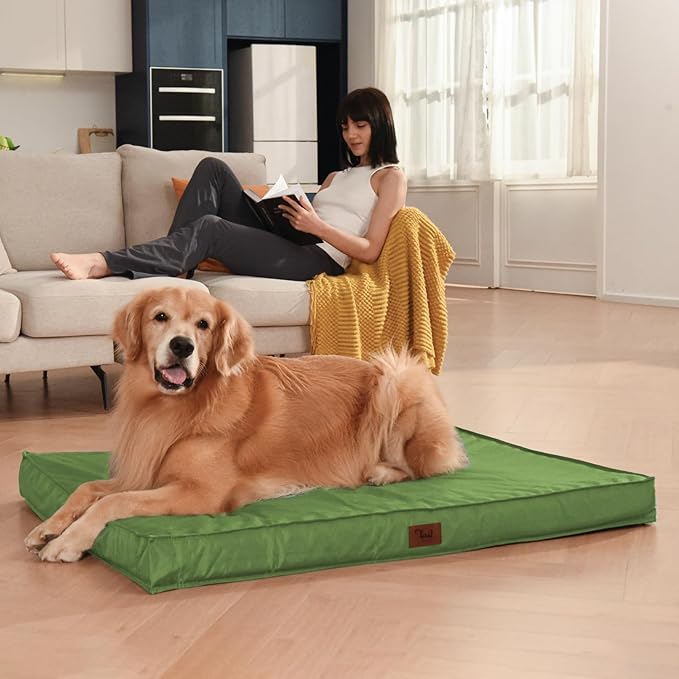 Outdoor Orthopedic Dog Bed for Medium Dogs & Cats, Waterproof Flat Pet Mat with Egg Crate Foam & Washable Removable Oxford Cover, 30x20 Inch, Light Green