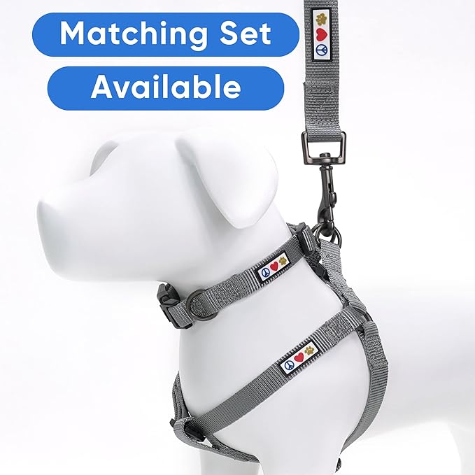 Pawtitas Personalized Dog Leash Embroidered Customize Leash with Your Pet Name & Phone Number Leash Puppy Leash 6 ft Long Dog Leash Puppy Medium Leash Large Leash Leash Grey Custom Engraved Name
