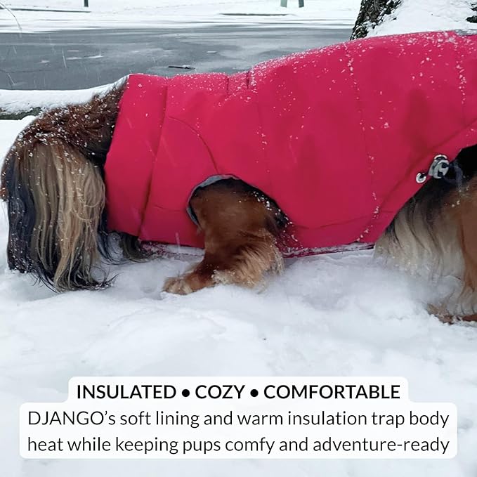 DJANGO Reversible Puffer Dog Coat – Warm Winter Dog Jacket & Water-Repellent Insulated Dog Coat with Harness Hole, Windproof, Adjustable Fit for Small & Medium Dogs, Dachshunds – Lava Red, Large