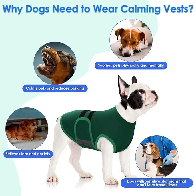 MIGOHI Dog Anxiety Relief Coat,Comfort Anxiety Vest for Dogs,Adjustable Dog Anxiety Calming Wrap for Fireworks,Thunderstorm,Travel,Separation,Anxiety Jacket for Small Dogs,XS,Green