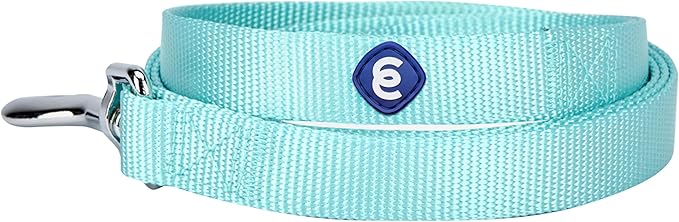 Blueberry Pet Essentials Mint Blue Dog Leash for Medium - 5' * 3/4" Dogs | Heavy Duty Nylon Lead | Lightweight Puppy & Cat Leash for Walking & Training