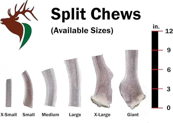 – X Large Split Single Pack (for 50+ lb Dogs) Premium Grade Elk Antler for Dogs (1 Piece) Sourced in The USA