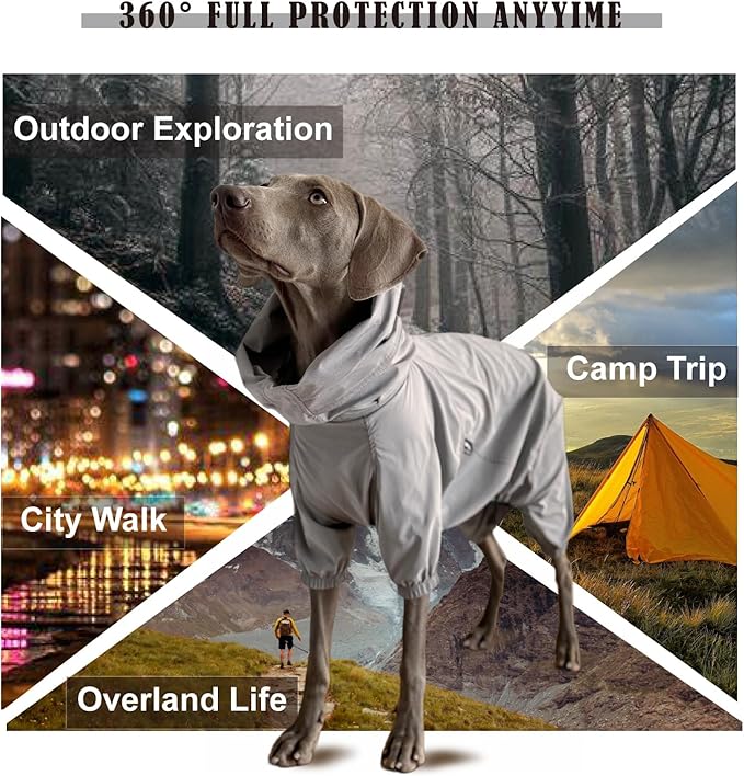 Dog Lightweight Windbreaker, Pet Outdoor Sports Jacket, 0.5 lbs,3 in One, Hooded, Easy on/Off with Collar and Harness, Reflective Piping, Packable, Dog Hiking/Camping, Grey (Medium)