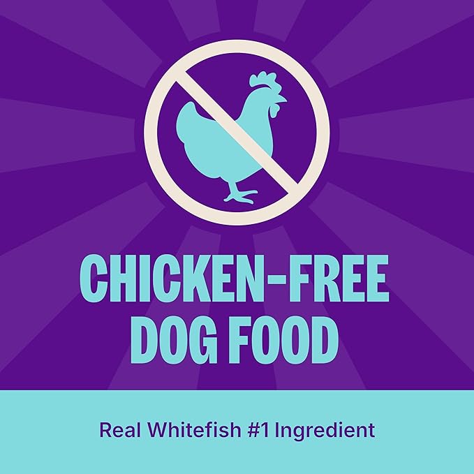 Wellness CORE Dry Dog Food, Wholesome Grains, High Protein, Natural, Ocean Whitefish & Herring Recipe, (4-Pound Bag)