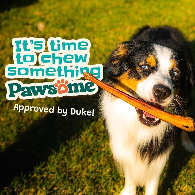 Bully Sticks 6–7" — 1 lb Thick Value Pack| Natural Single-Ingredient Dog Chews, Long-Lasting Dental Support Treats for All Breeds