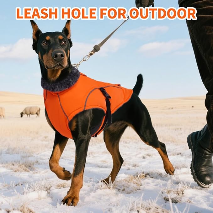 DENTRUN Medium Dog Winter Jacket - Warm Reflective Windproof Coat, Adjustable Neck & Snap Closure, Water Repellent Thick Fleece Vest, Fleece Lined for Beagle Pug, Orange, M