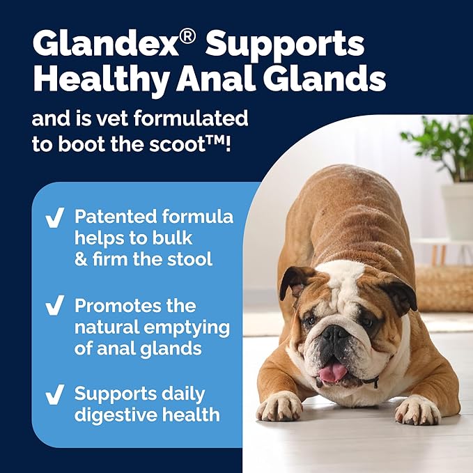 Vetnique Glandex Dog Fiber Supplement Powder for Anal Glands with Pumpkin, Digestive Enzymes & Probiotics - (Regular or Advanced Strength) - Boot The Scoot (8.5 oz, Advanced Strength Duck & Bacon)