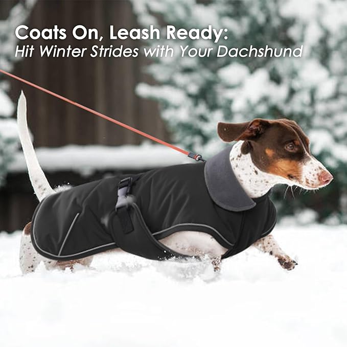 Dog Coat - Perfect for Dachshunds, Black, Large - Waterproof Winter Coat with Fleece Lining, Built-in Harness, Adjustable Closure