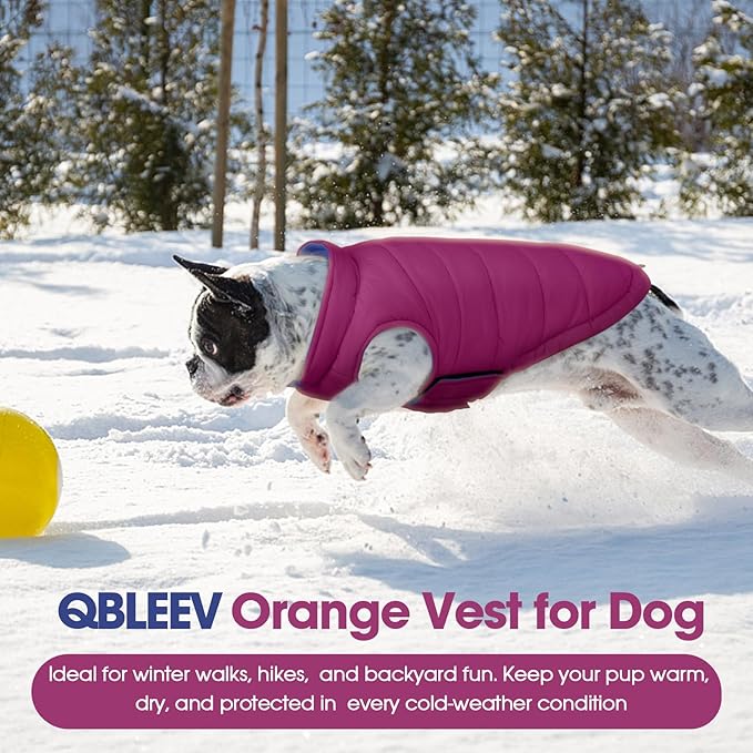 QBLEEV Reversible Dog Jacket for Large Dogs, Waterproof Windproof Winter Coat with Adjustable Hook & Loop Design, Lightweight Puffer Vest Keeps Dogs Warm & Dry, Purple, XL – Fits Pitbull, Boxer