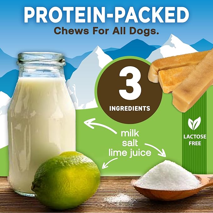 EcoKind Premium Gold Yak Cheese Himalayan Dog Chews, Dog Treats Large Breed, All Natural, High Protein Dog Chew, Cheese, Large - 5 Chews