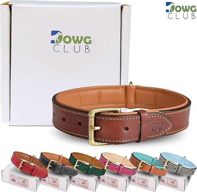 Leather Dog Collar | Leather Collar for Extra Large Dogs, 1.5 Inch Wide Brown Dog Collar | Genuine, Full Grain, Heavy Duty, Comfortable, Padding | (X-Large (Fit Neck Size 22"-26"), Brown)