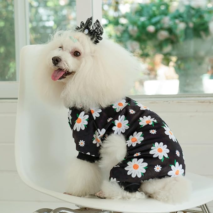 CuteBone Small Dogs Outfit Soft Puppy Onesies Pjs Dog Pajamas Pet Coat Cat Apparel Comfy Doggie Jumpsuit Bodysuit for All Seasons P221XL