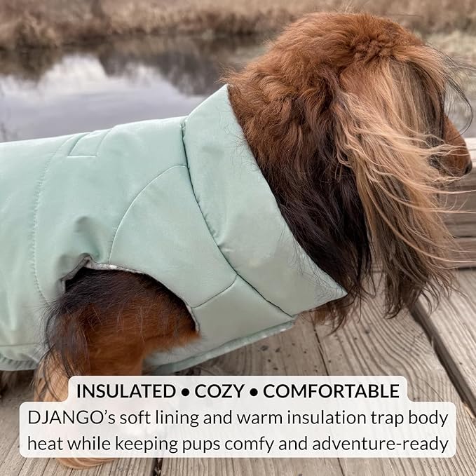 DJANGO Puffer Dog Coat – Warm Winter Dog Jacket & Water-Repellent Insulated Puffer Vest with Striped Lining, Harness Hole, Adjustable Fit for Small & Medium Dogs, Dachshunds – Sea Foam Green, X-Small