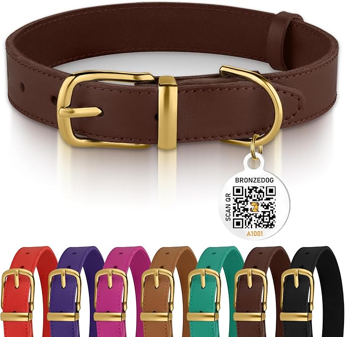 BRONZEDOG Leather Dog Collar with Metal Buckle Durable Basic Pet Collars for Small Medium Large Dogs (11-13 Inch (Pack of 1), Dark Brown & Gold Buckle)
