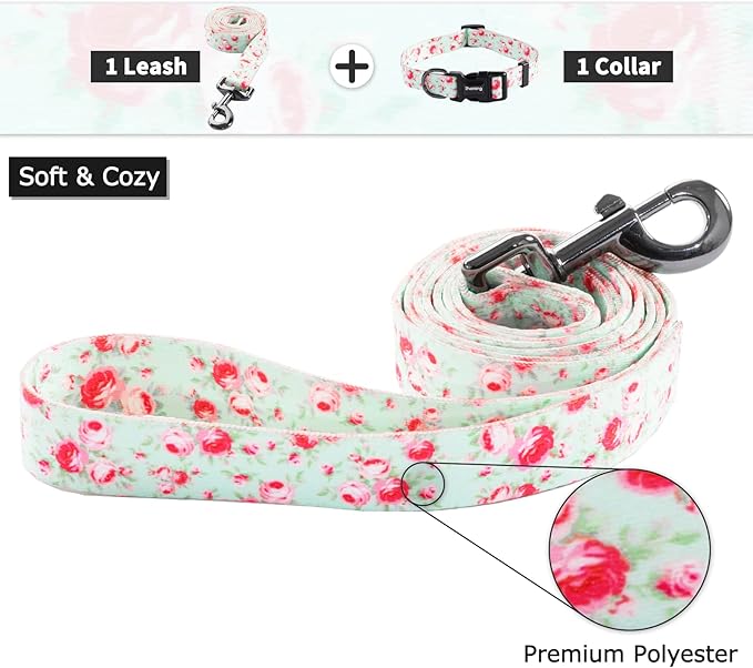 Ihoming Puppy Collar and Leash Set for Daily Outdoor Walking Running Training, Floral GreenLake Design for Extra Small Boys Girls Dogs Cats Pets, XS-Up to 10LBS