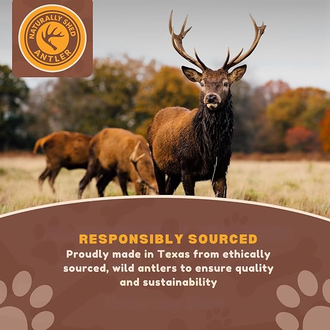 WhiteTail Naturals - Antlers for Small Dogs (3 Pack) Deer Antler Dog Chew Bones for Small Aggressive Chewers - Long Lasting Horn Chew Toys - Naturally Shed
