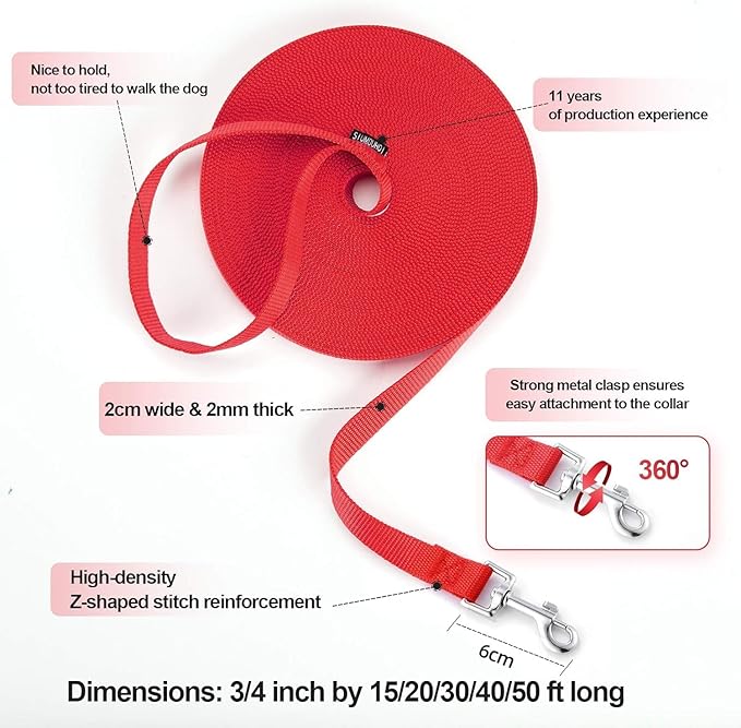 Dog/Puppy Obedience Recall Training Agility Lead - 15ft 20ft 30ft 40ft 50ft Training Leash - Great for Play, Camping, or Backyard (Mint Blue, 30 Feet)