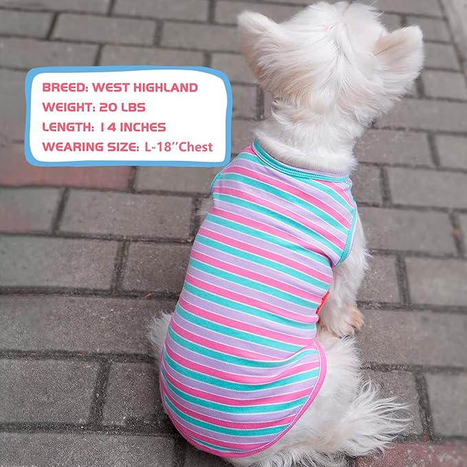 KYEESE 2Pack Dog Shirts Striped T Shirt Cotton Tank Top Soft Tee for Small Dogs Lightweight Clothes Sleeveless Dog Vest, Medium,Purple+Orange Striped