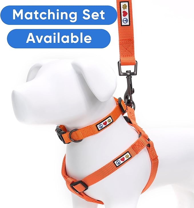 Pawtitas 6 FT Comfortable Leash - Solid Color, Extra Small to Small Sizes, Orange, Ideal for Puppy Training