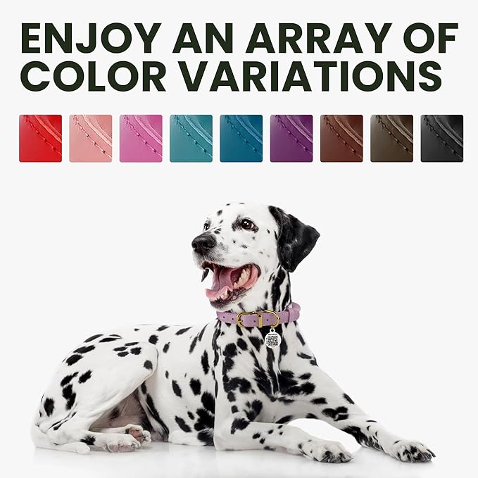 BRONZEDOG Rolled Leather Dog Collar for Small Medium Large Dogs with QR ID Tag (S: 12-14 Inch, Glossy Black)