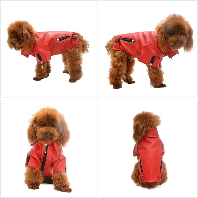 Lovelonglong Cool Dog Leather Jacket, Warm Coats Dogs Windproof Cold Weather Coats for Large Medium Small Dogs, Boston Terrier Clothing Red XXL