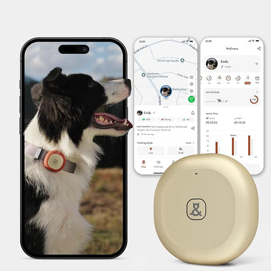 Molly&Cody GPS + Bluetooth Pet Tracker for Cats & Dogs – Real‑Time Tracking, Virtual Fence, IP67 Waterproof, Up to 60‑Day Battery, Health Monitoring, iOS/Android – 3‑Month Subscription Included (Gold)