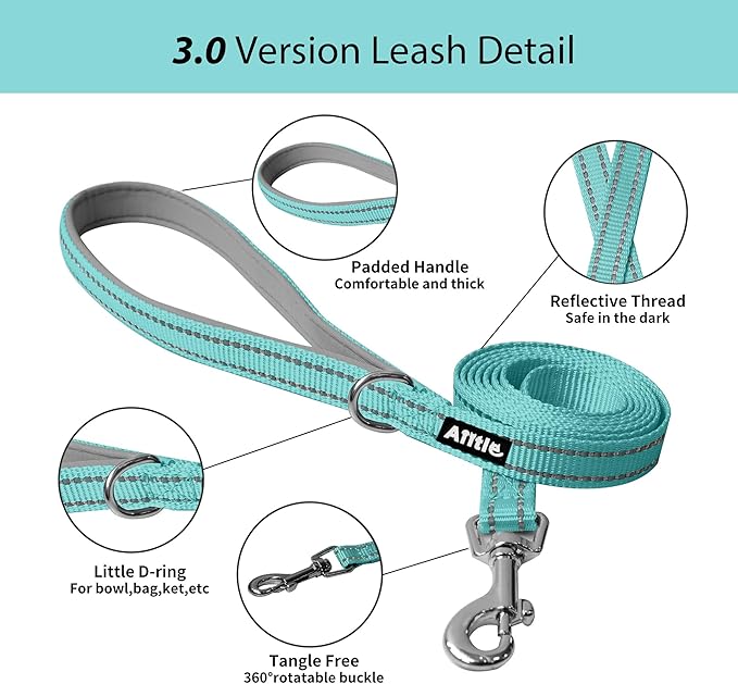 AIITLE Easy Walk Dog Harness and Leash Set - Pet Supply No Pull, Step in Adjustable Pet Harnesses with Padded Vest for Summer, No Choke Over, Easy to Put on Medium Dogs Turquoise L