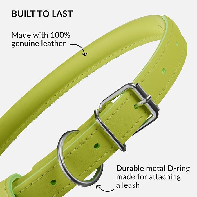 CollarDirect Rolled Leather Dog Collar, Soft Padded Round Puppy Collar, Handmade Genuine Leather Collar Dog Small Large Cat Collars 13 Colors (15-19 Inch, Lime Green Smooth)