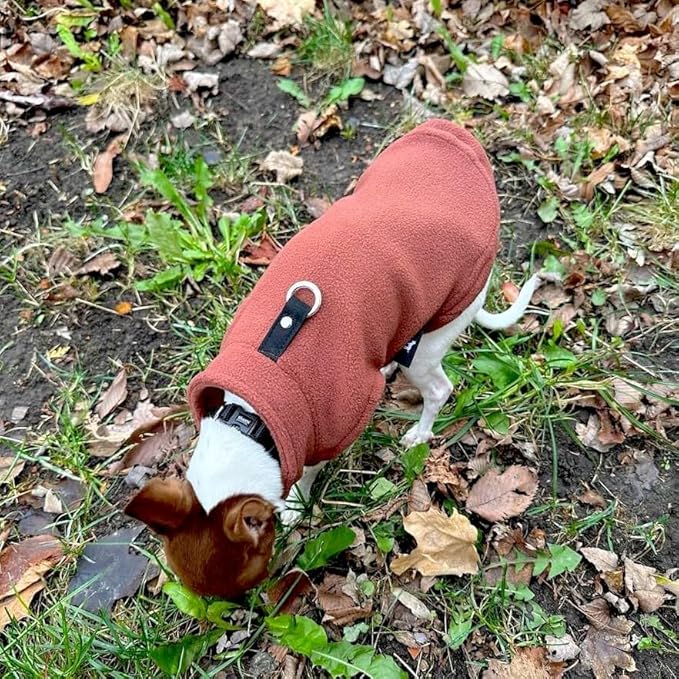 JACKO & CO - Fleece Vest Dog Sweater with Leash Ring - Soft, Warm & Lightweight Pullover Coat for Small & Medium Dogs, Puppies & Cats - Cozy Fall/Winter/Spring Pet Jacket (Chocolate Brown, XS (2-4lbs)