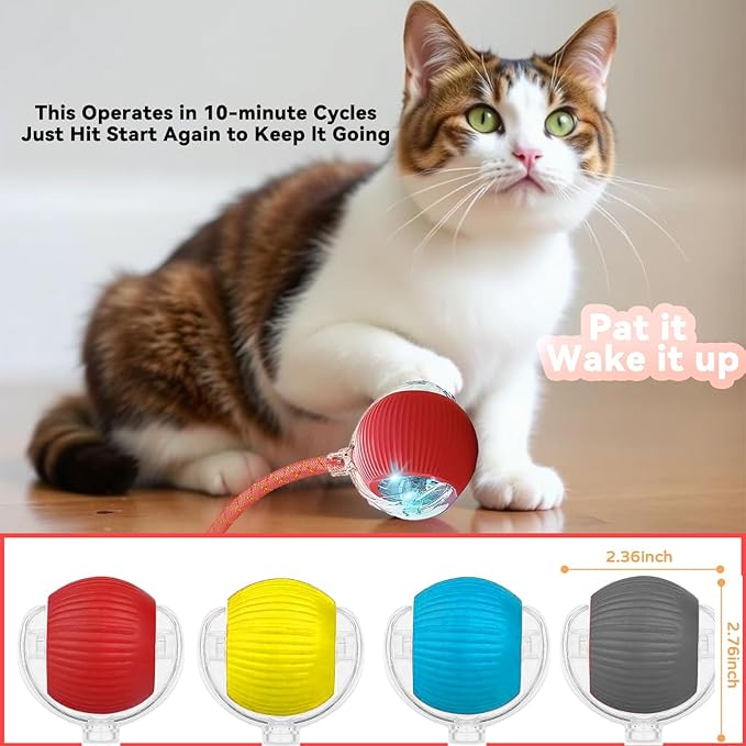 Interactive Cat Toys for Indoor Cats, Automatic Cat Toy with Elastic Mesh Tail, Electric Rolling Ball on Carpet, Chirping and Motion Activate Cat