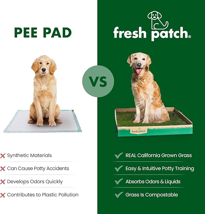 Fresh Patch Real Grass Patch for Dogs, Cats, and Extra Large Pets 30 Pounds and Above – Disposable Pet Grass Pee Pads with Tray – Indoor and Outdoor Potty Training Mat (24 Inches x 48 Inches)