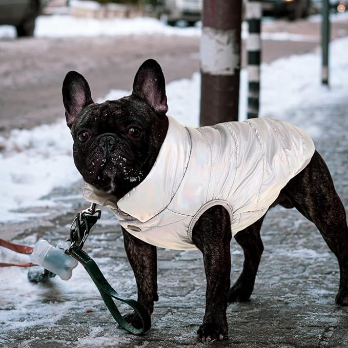 ASENKU Dog Winter Coat - Waterproof Windproof Dog Jacket, Warm Snowproof Doggie Puffer Vest for Cold Weather, Lightweight Snow Coats for Small Medium Large Dogs (Silver, S)