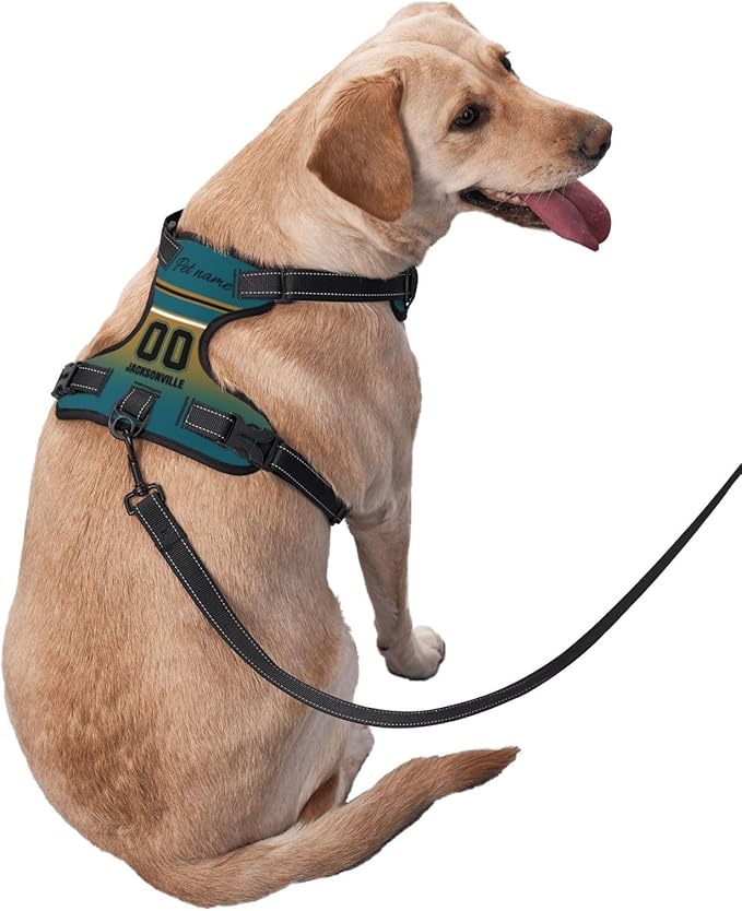 Custom Jacksonville Dog Harness with Reflective Stripes Personalized Name and Number Dog Vest Harness with Pet Traction Rope for Small Medium Large Dog
