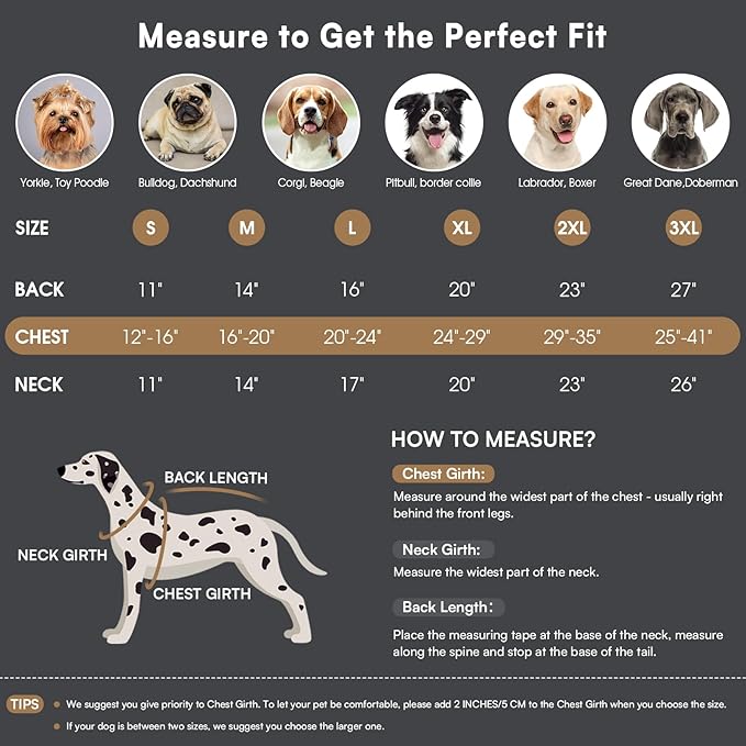 Queenmore Winter Dog Coat Warm Dog Jacket Vest Waterproof Puffer Fleece Snowsuit Adjustable Buckle Leash Hole Reflective Cold Weather Parka for Small Medium Large Dogs Girl Boy Black XL