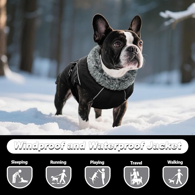 DENTRUN Dog Winter Coat - Windproof Reflective Jacket, Plush Turtleneck & Adjustable Belt, Water Repellent Fleece Lined Cold Weather Vest for Corgi Bulldog, Black, L