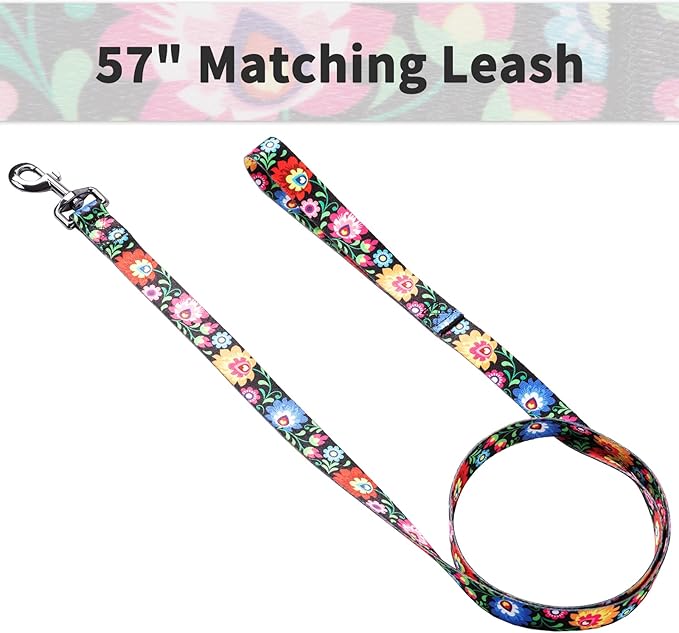 Ihoming Dog Collar and Leash Set for Daily Outdoor Walking Running Training, Black Colorful Flowers Design for Small Boys Girls Dogs Cats Pets, S-Up to 20LBS