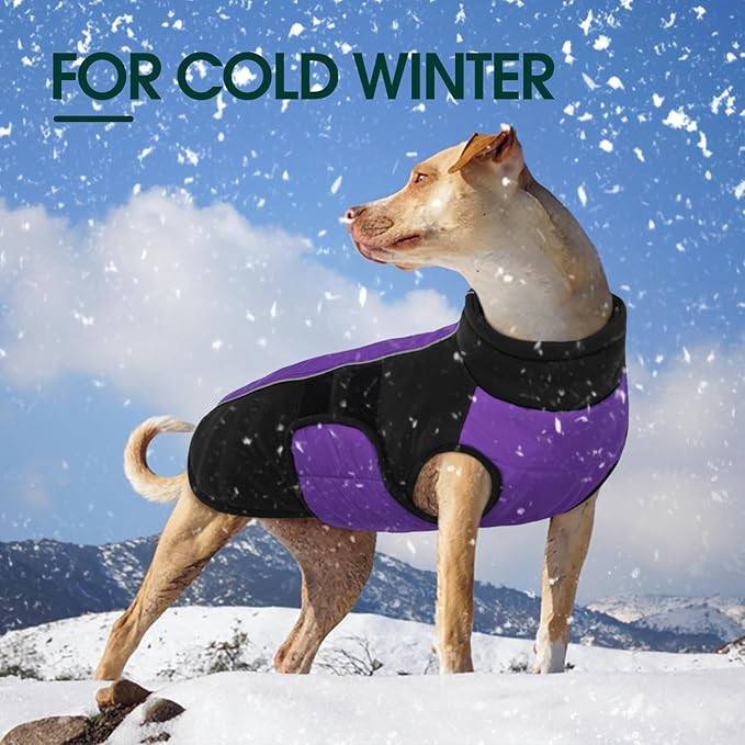 Kuoser Dog Jacket, Winter Dog Coats for Medium Dogs, Reflective Doggie Cold Weather Coats Pet Clothes, Puppy Snow Jacket for Frech Bulldog, Boston Terrier, Purple L